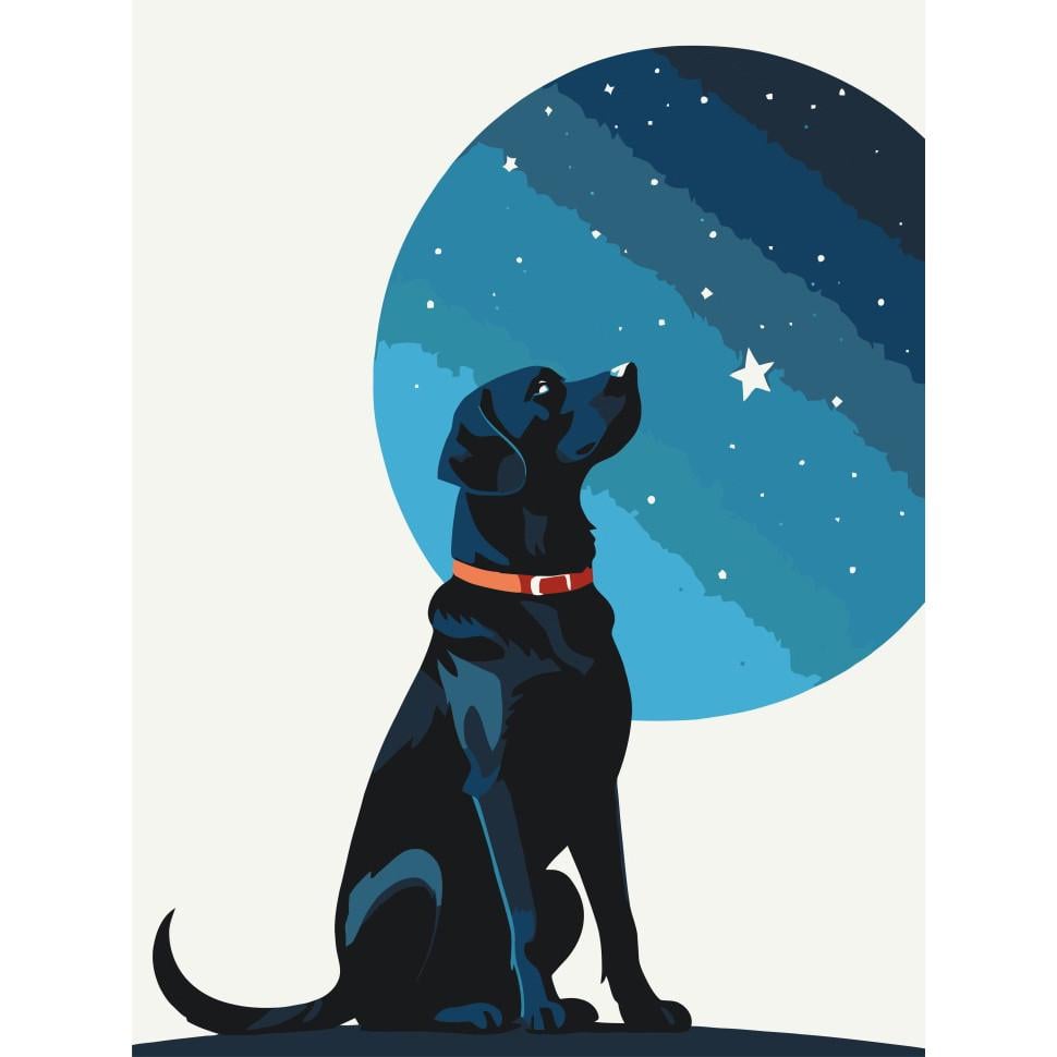 Картина по номерам ART CRAFT Звездный пес 30x40 см Разноцветный (PM-194-K-1502)