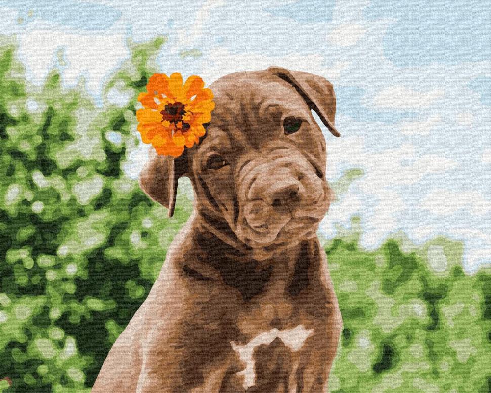 Картина по номерам Brushme Собачка милый романтик 40х50 см (GX37552)