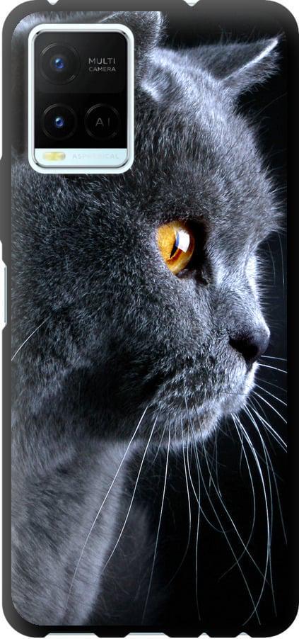 Чехол на Vivo Y21 Красивый кот (3038b-669-42517)