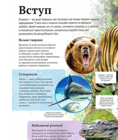 Книга "Детская энциклопедия хищников" - фото 4
