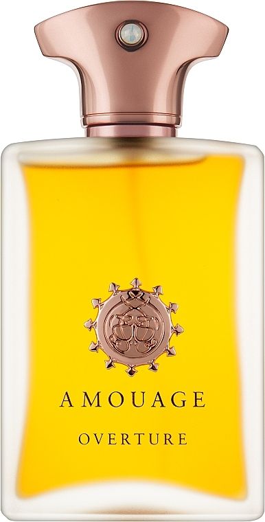 Парфюмированная вода Amouage Overture Man 100 мл (2277_3993)