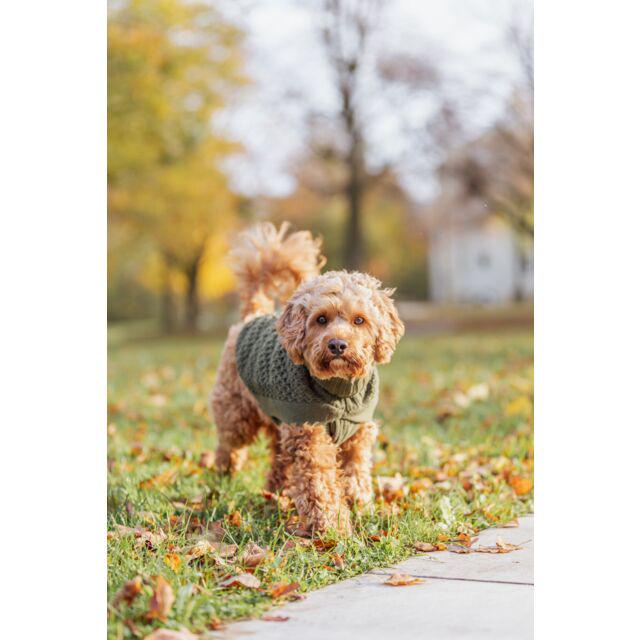 Пуловер Trixie Norwood S 36 см Оливковий - фото 2