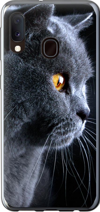Чехол на Samsung Galaxy A20e A202F Красивый кот (3038t-1709-42517)