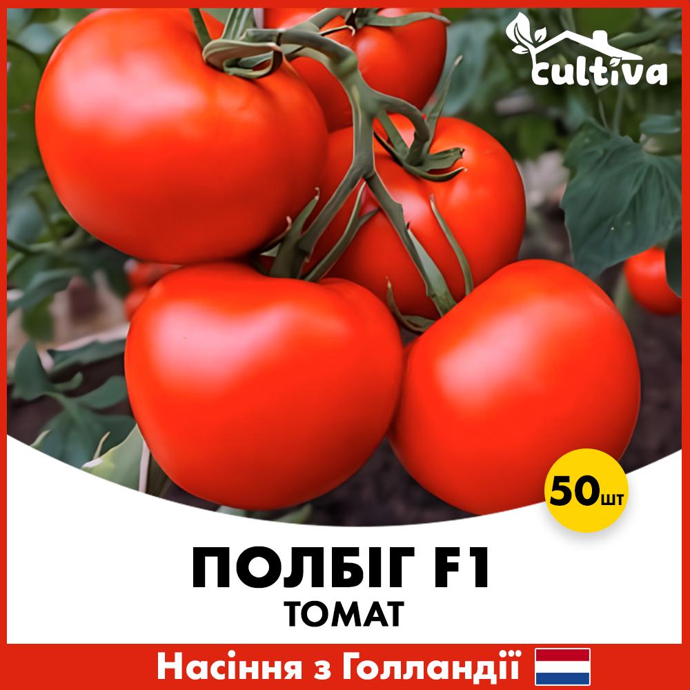 Семена томата Bejo Полбег F1 50 шт. (0020350)