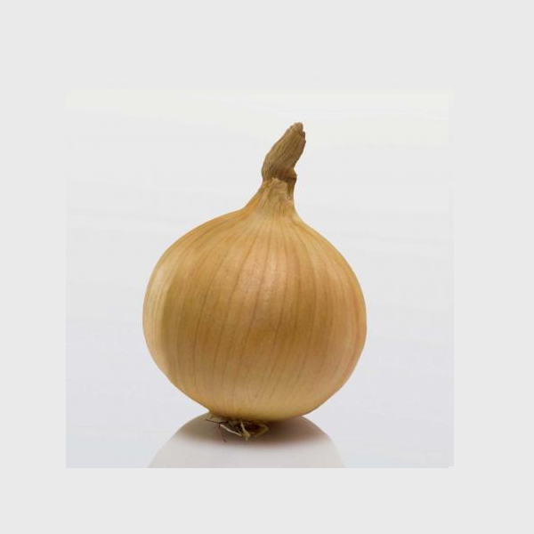 Цибуля сівок BroerB.V. Радар Ф1 100 г (1881985333)