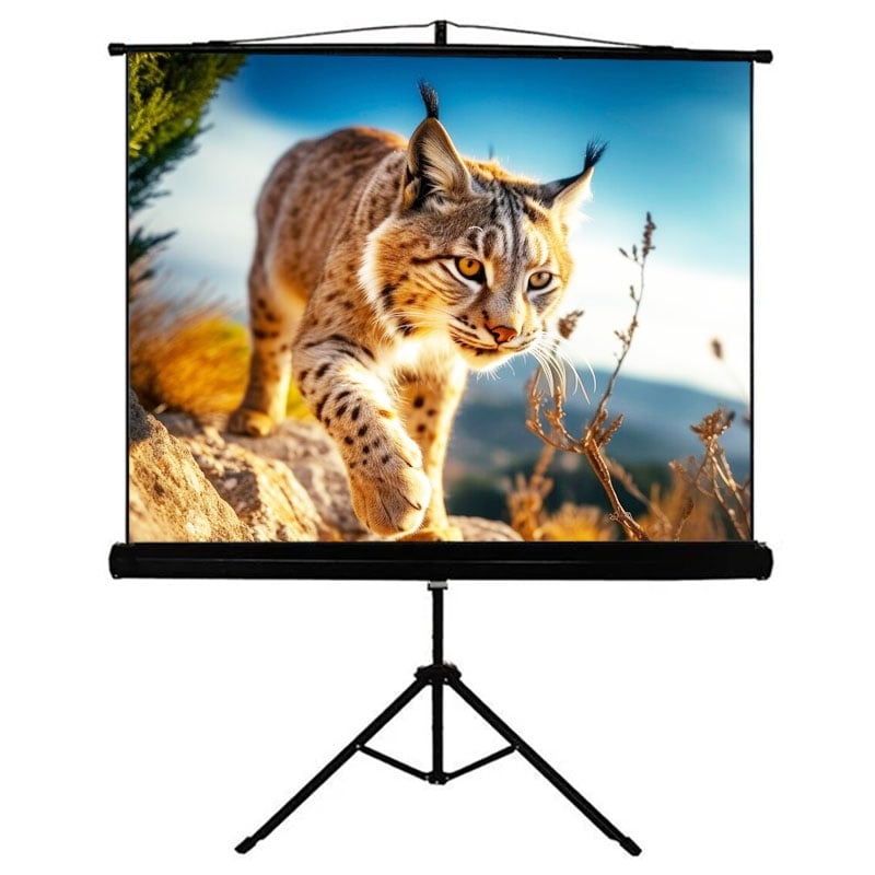 Екран проекційний Walfix SNТ-4 мобільний тринога 120" 240х180 см 4:3 (tf550)