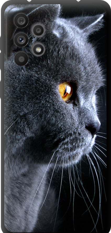Чехол на Samsung Galaxy A73 A736B Красивый кот (3038b-2586-42517) Чехол на Samsung Galaxy A73 A736B Красивый кот (3038b-2586-42517)