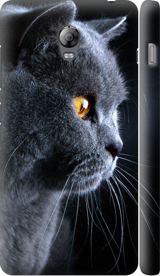 Чехол на Lenovo Vibe P1 Красивый кот (3038c-152-42517)