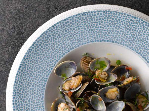 Тарелка обеденная Churchill Isla Sv 26,1 см White (OCISIF101) - фото 2 Тарелка обеденная Churchill Isla Sv 26,1 см White (OCISIF101) - фото 2