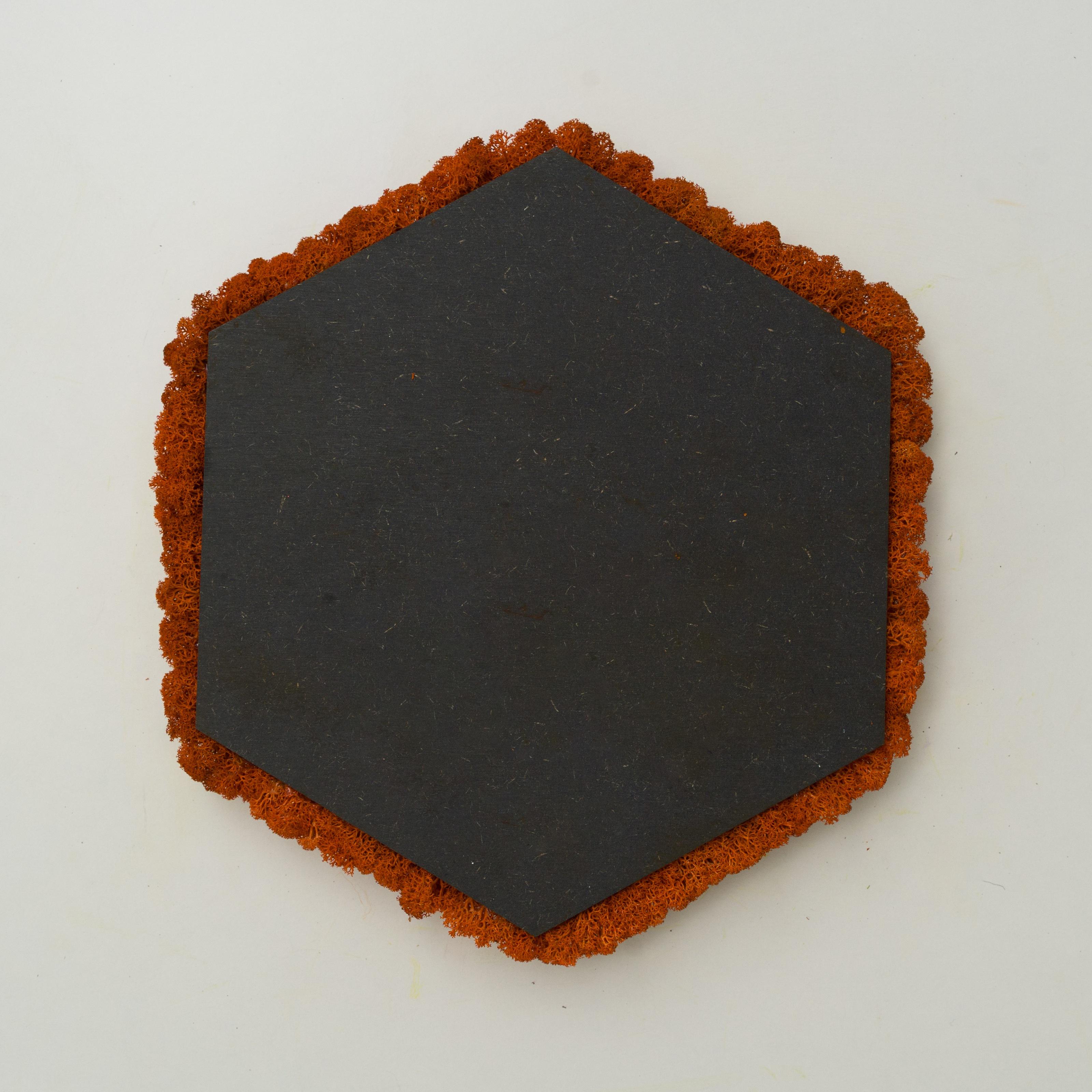Декоративне панно з моху Organic Design шестикутникова панель 33 см Orange (702-06) - фото 5 Декоративне панно з моху Organic Design шестикутникова панель 33 см Orange (702-06) - фото 5