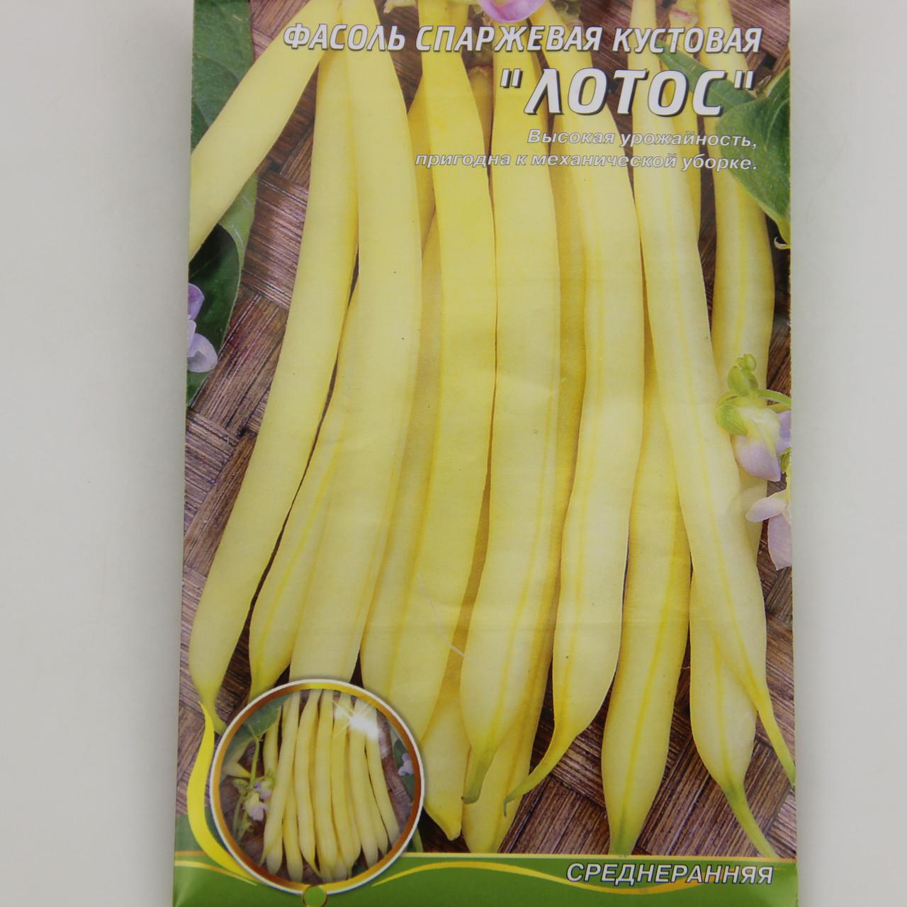 Семена фасоли Черная Болгарка 50 г (34844)