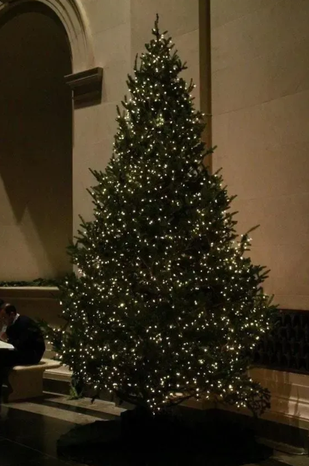 Гірлянда роса на катушки на USB з пультом и 8 режимами 20 LED 200 м на зеленом проводі Тепле світло (FC25004) - фото 4