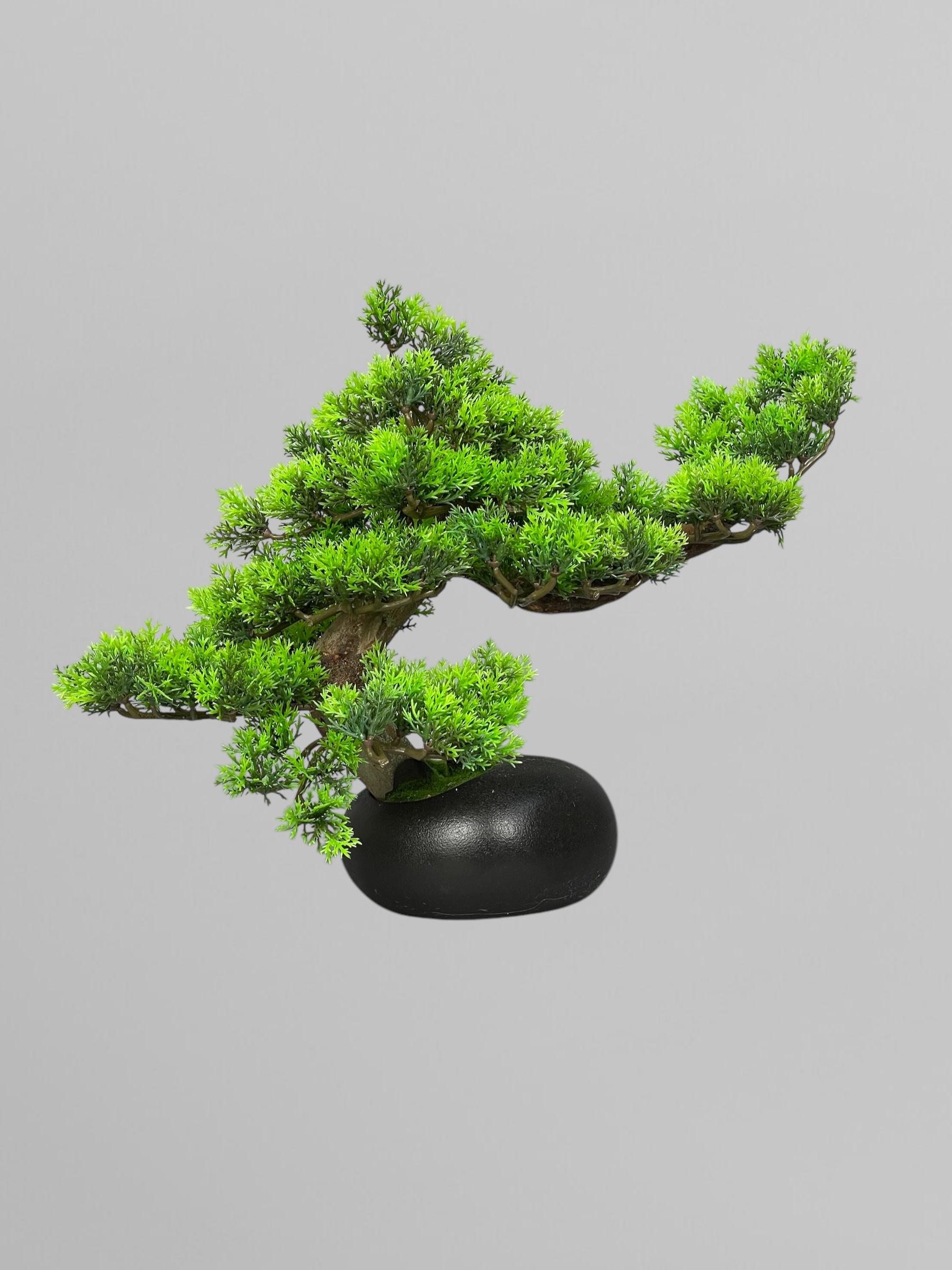 Бонсай 30 см Зеленый (Б004) - фото 2 Бонсай 30 см Зеленый (Б004) - фото 2