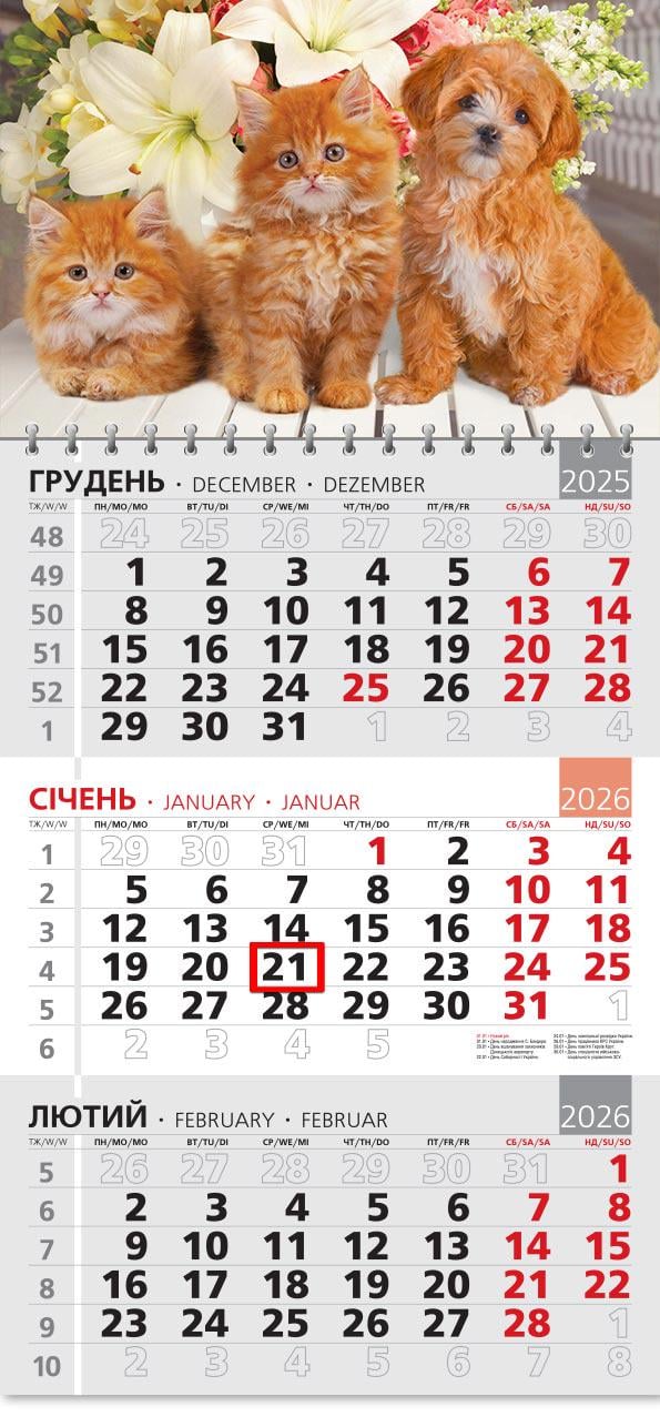 Календар на 2026 р. Офісний 3 Руда трійка