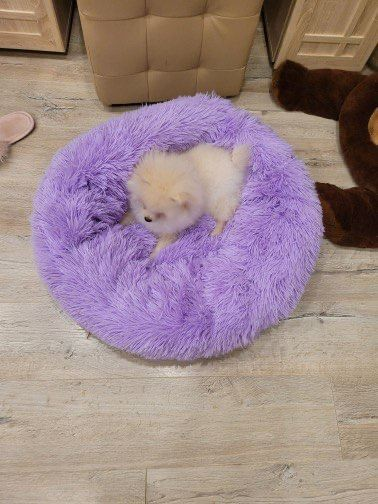 Лежак лежанка для котів та собак Incor 100 см штучне хутро Фіолетове (100-11) - фото 4