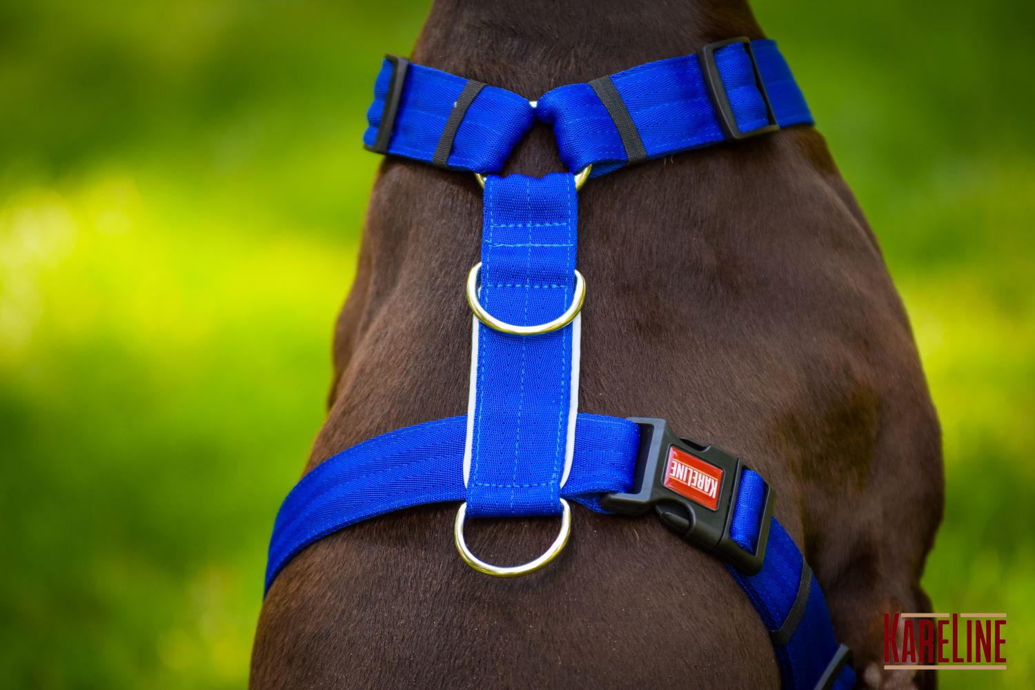 Шлея анатомическая KareLine из нейлона со светоотражающими элементами 25 мм А:340-540 мм В:470-690 мм Синий (0976/7) - фото 3 Шлея анатомическая KareLine из нейлона со светоотражающими элементами 25 мм А:340-540 мм В:470-690 мм Синий (0976/7) - фото 3