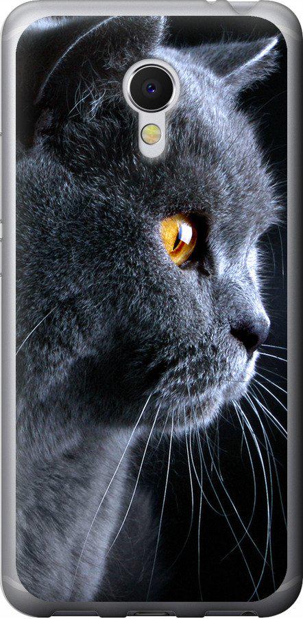 Чехол на Meizu MX6 Красивый кот (3038u-259-42517)