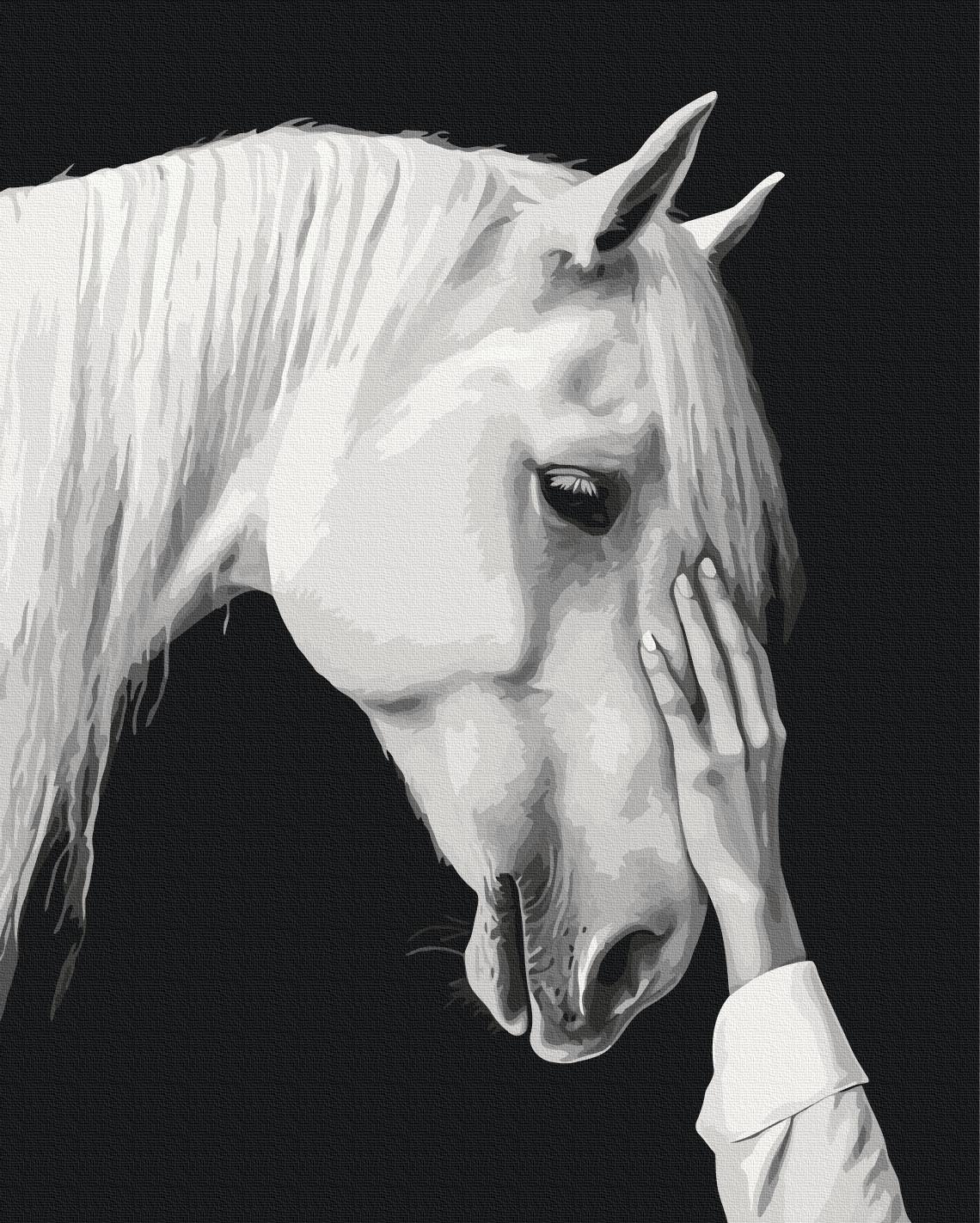 Картина по номерам Brushme Белый мираж 40x50 см (BS54416)