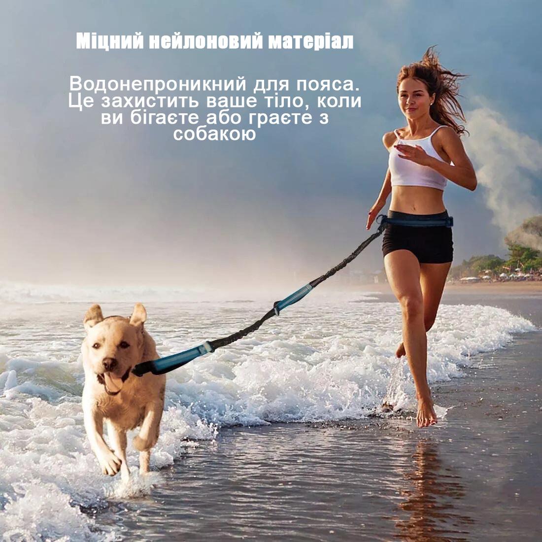 Поводок-пояс Harness для бега с собакой 160-260 см Зеленый (2330199991) - фото 7 Поводок-пояс Harness для бега с собакой 160-260 см Зеленый (2330199991) - фото 7