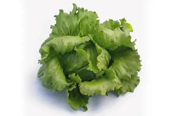 Семена Салат Syngenta ICE WAVE F1 5 000 шт. (1988192024)