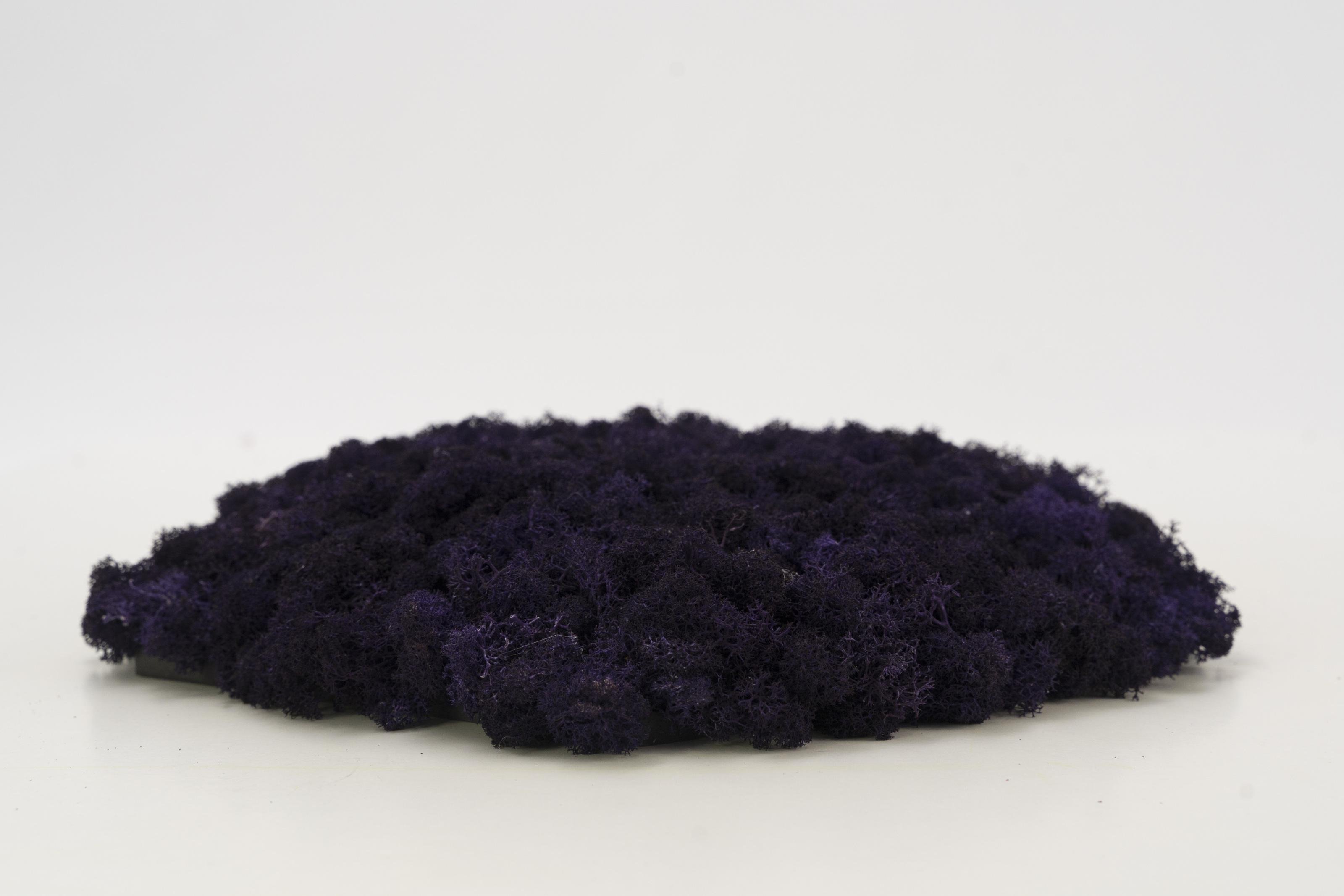 Декоративное панно из мха Organic Design шестиугольная панель 33 см Purple (702-11)