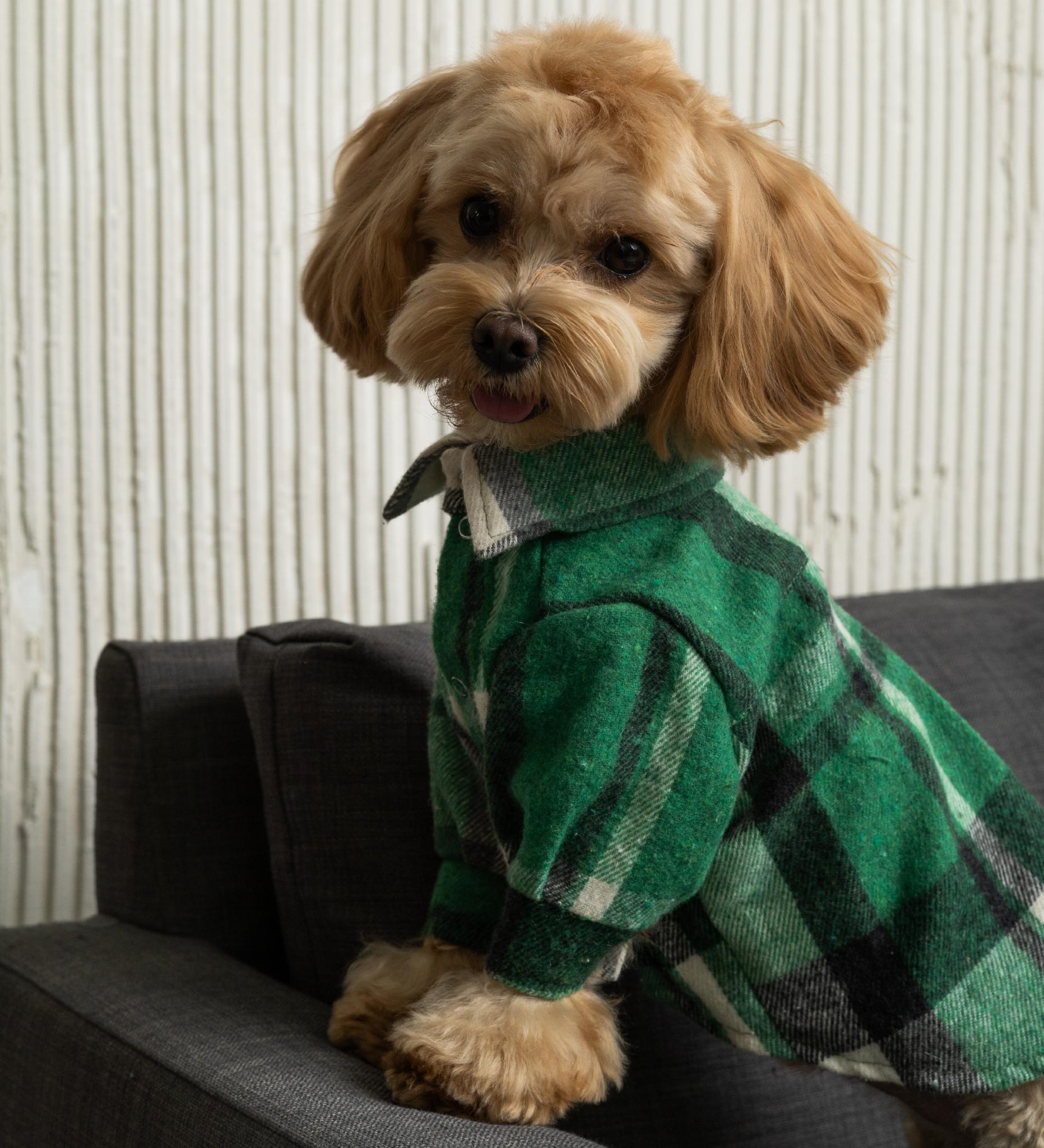 Рубашка для собак Dogs Bomba RUB-52 клетчатая р. 2 Зеленый (88625945)