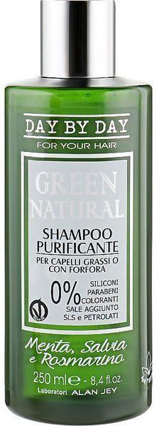 Шампунь очищающий Alan Jey Green Natural Purficante для жирной кожи головы 250 мл (1699)