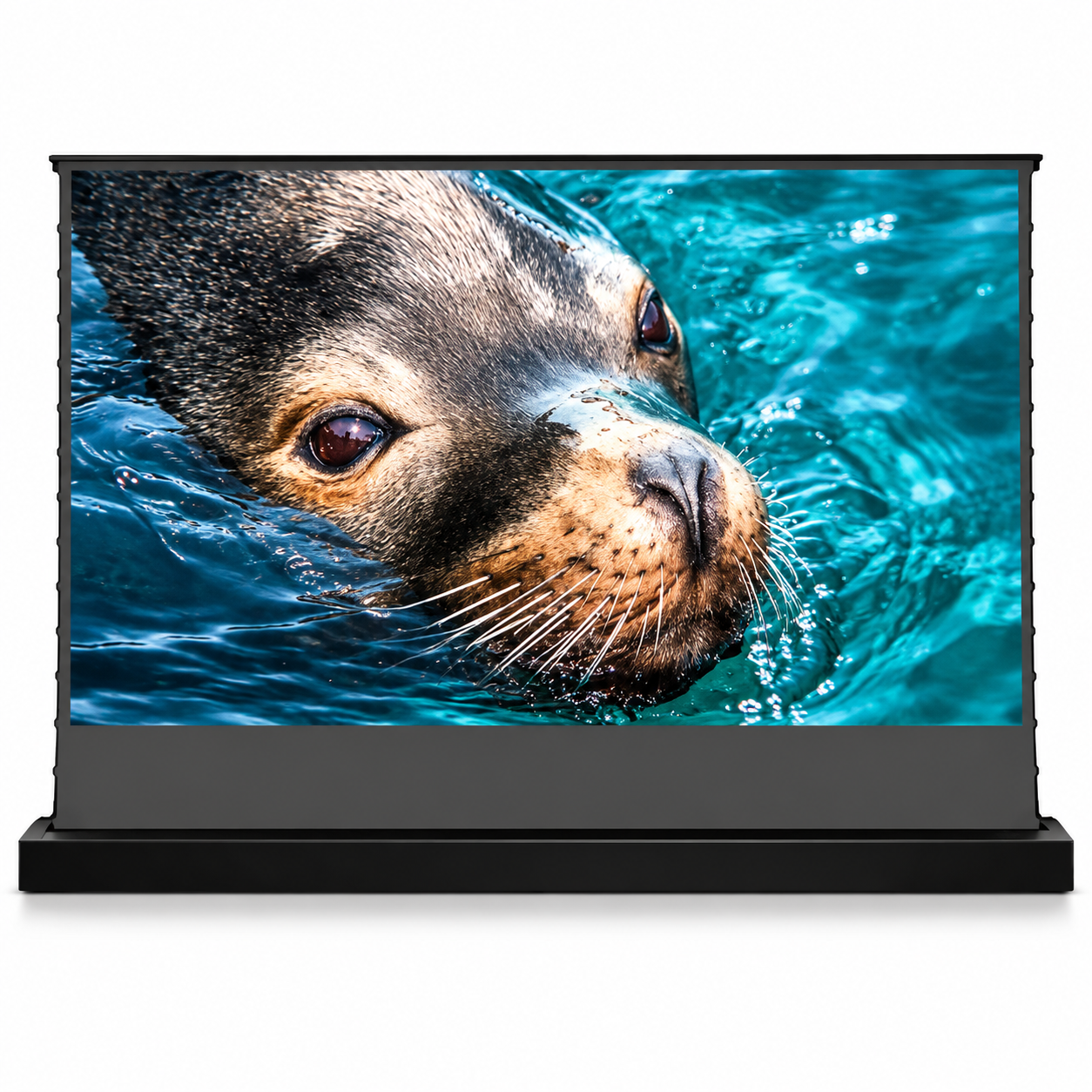 Экран для проектора моторизованный Vivid Storm ALR 4K HDR 16:9 электрический напольный с пультом 100" (38032941)