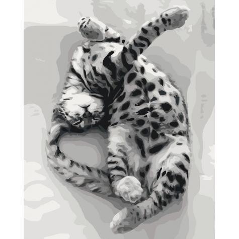 Набор для росписи по номерам Идейка Животные Птицы Сладкий сон 40х50 см (КНО4069-mt)