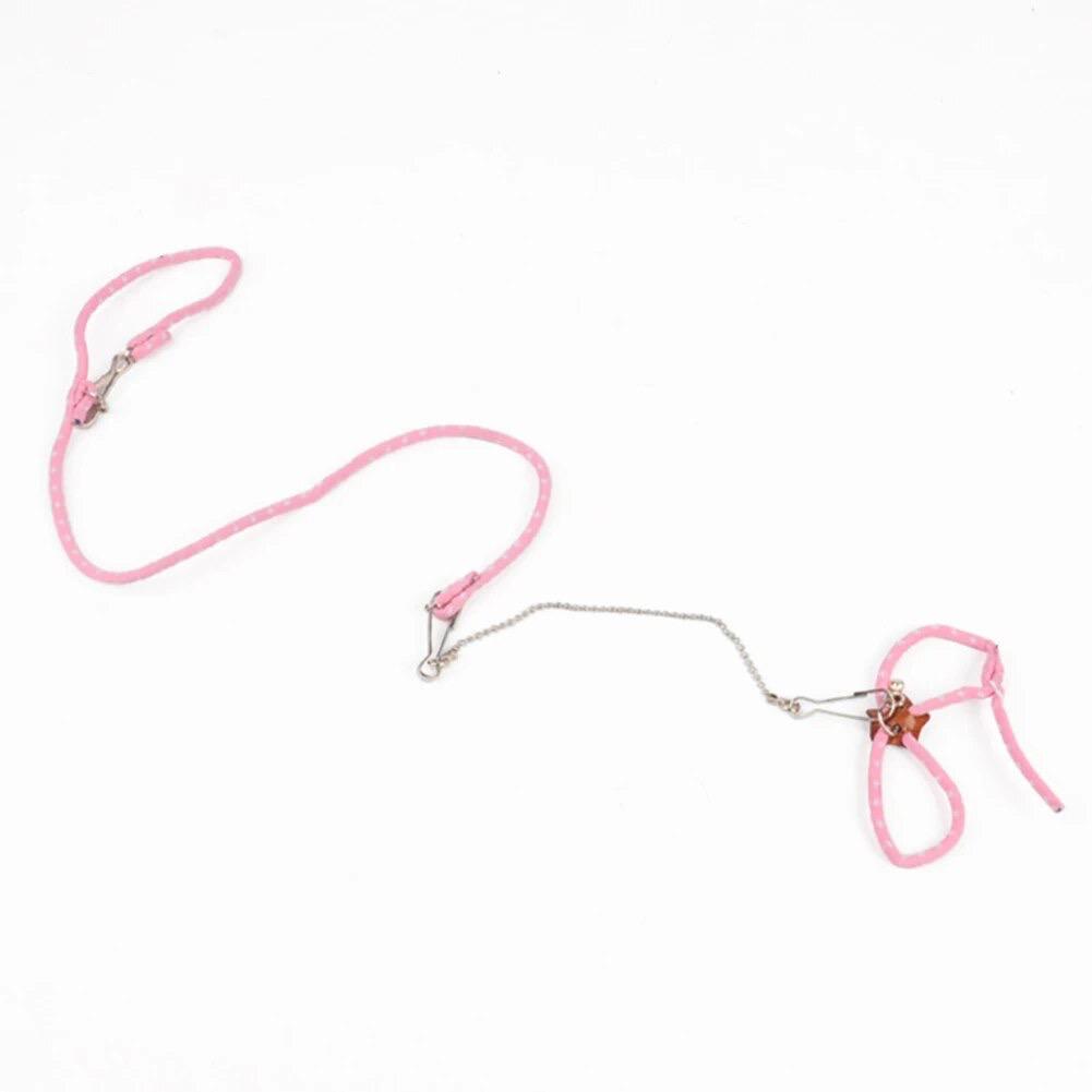 Шлея з повідцем Roxi для хом'яків Pink (56845)