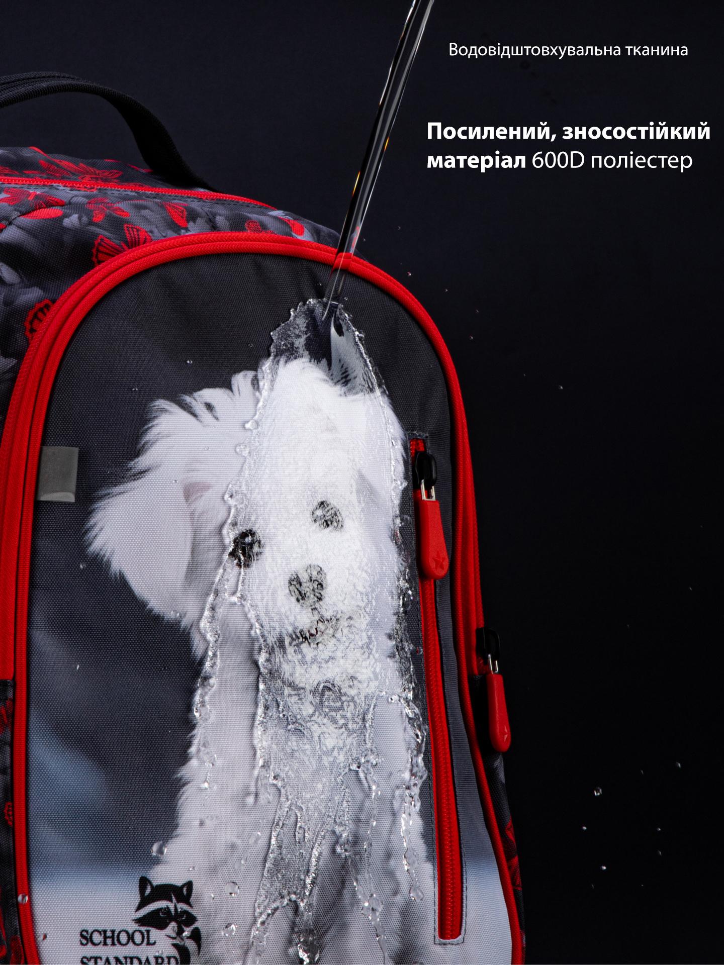 Рюкзак ортопедический School Standard Котик для младших классов 38х28х16 см (160-1) - фото 9