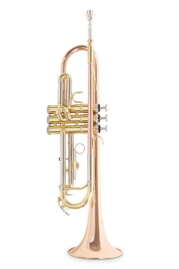 Труба Roy Benson TR-202G Bb-Trumpet латунь (G-RB701075) - фото 2