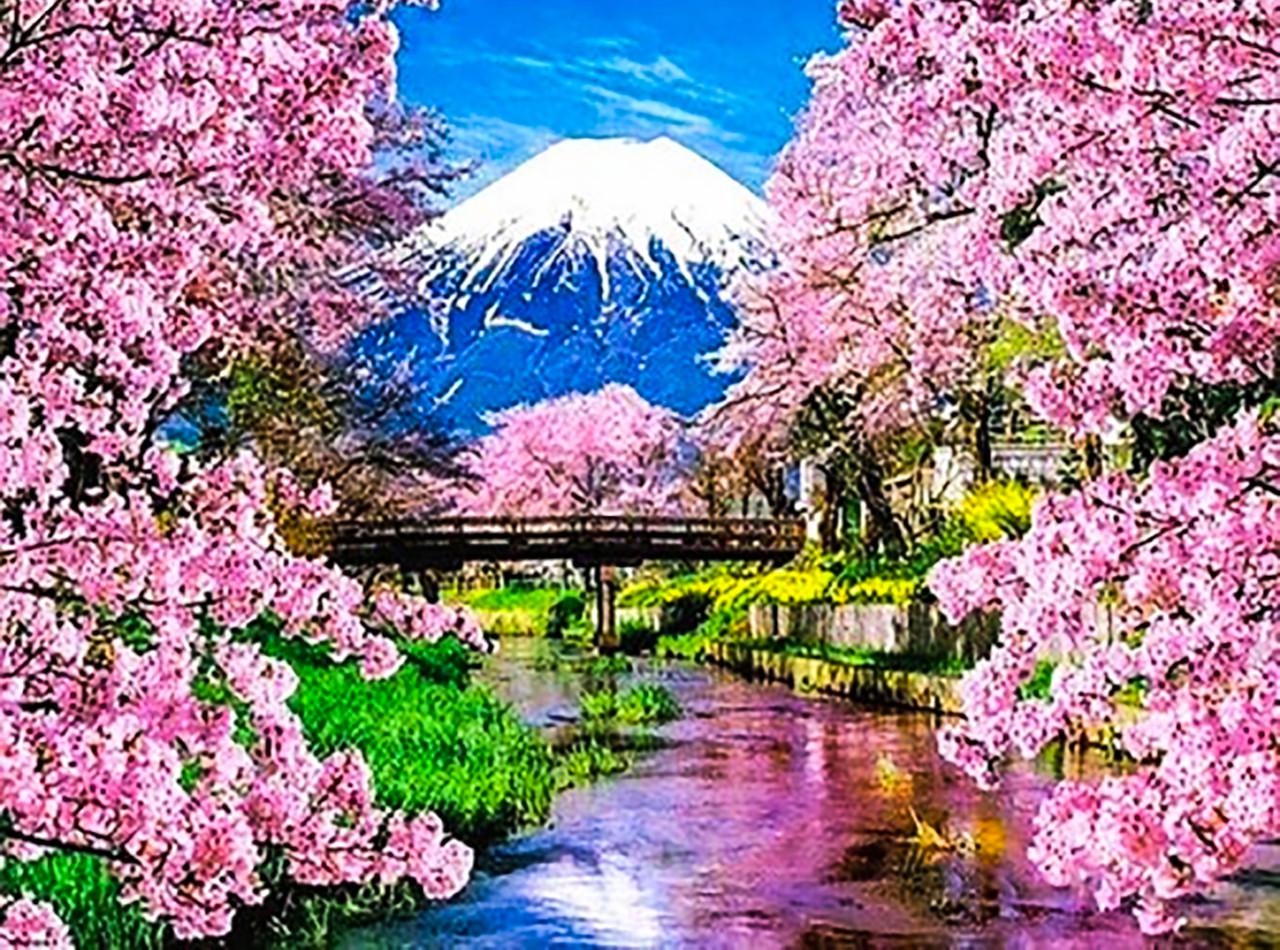 Набір алмазної вишивки Цвітіння сакури 40x30х20)