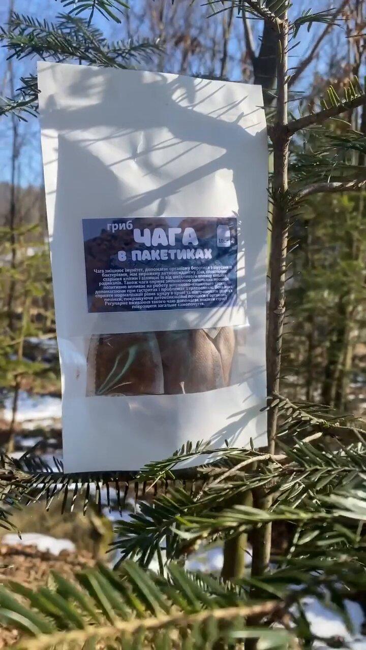 Чага в пакетиках 10 пакетиков (2534942510)