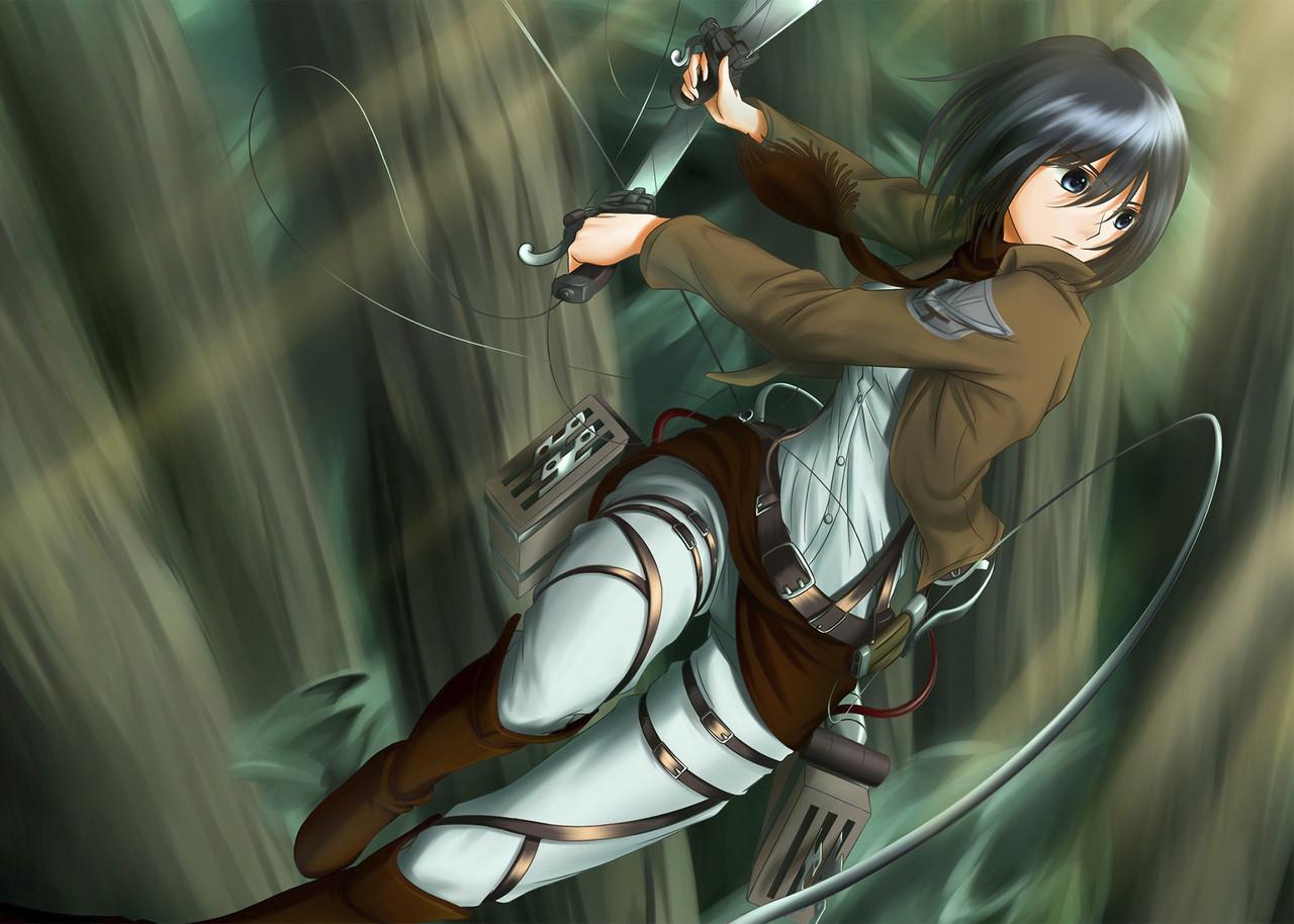 Картина GeekLand Attack on Titan Микаса Аккерман (AT 09.013)
