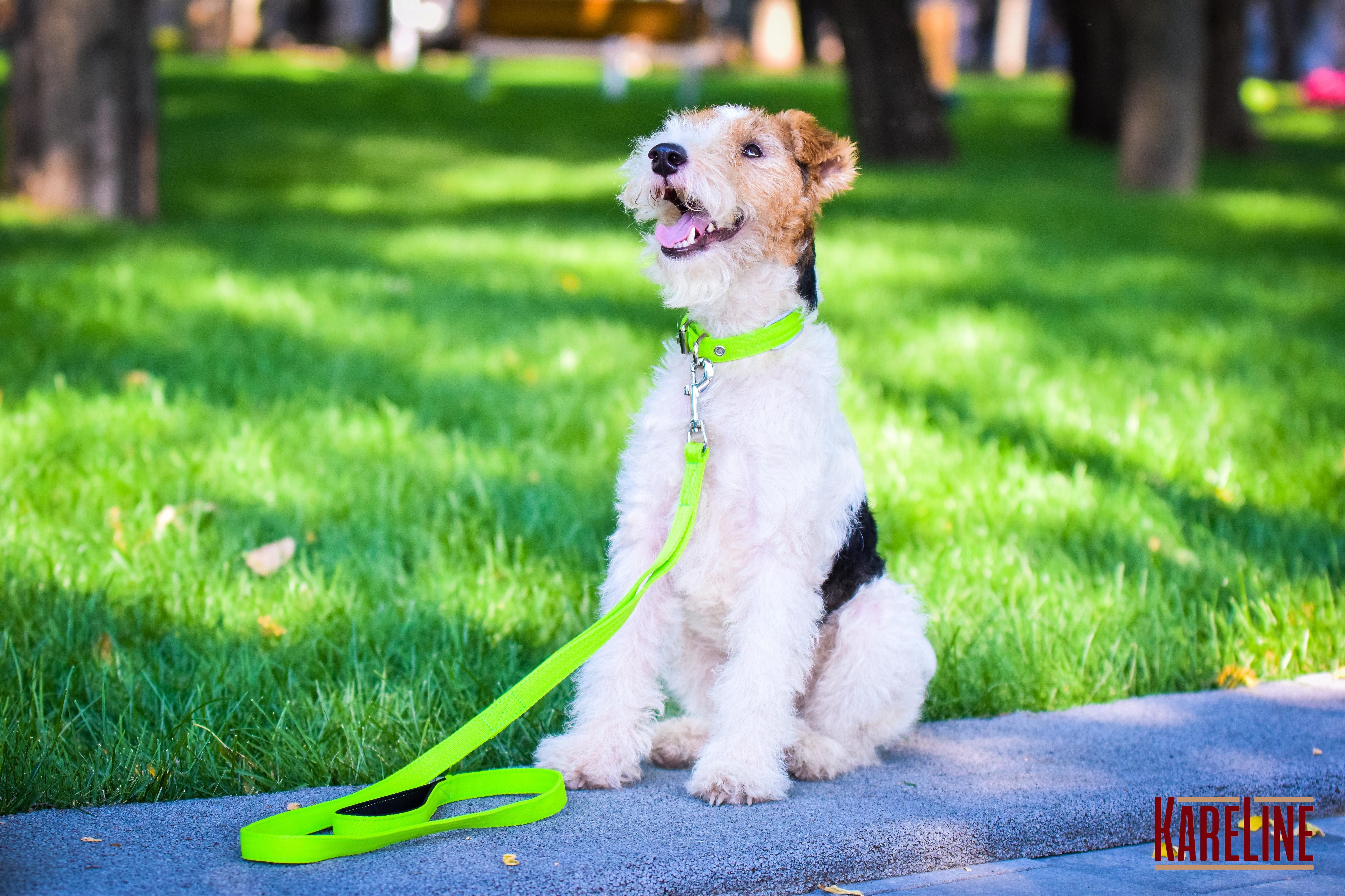 Нашийник KareLine посилений нейлоновий зі світловідбиваючим кантом 25 мм 380-460 мм Салатовий (0951/5) - фото 4