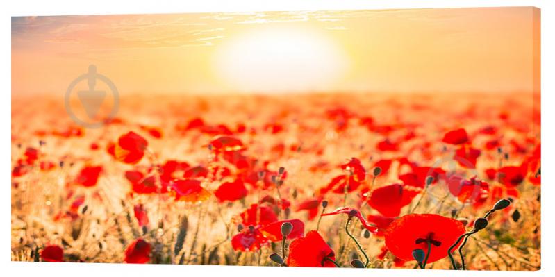 Картина на холсте Декор Карпаты Цветы 50х100 см (c785)