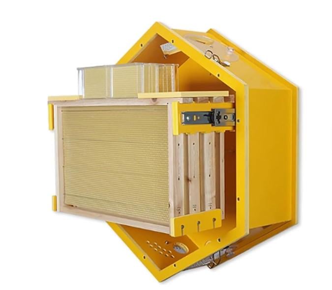 Вулик оглядовий домашній (30625883)