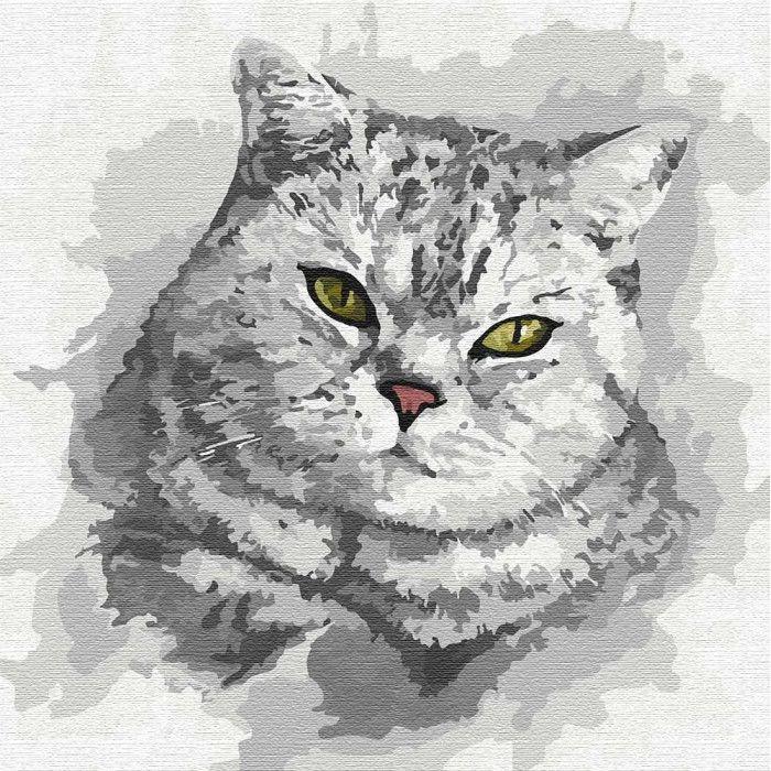 Картина по номерам Идейка Зеленоглазый взгляд кота 30x30 см (KHO4200)
