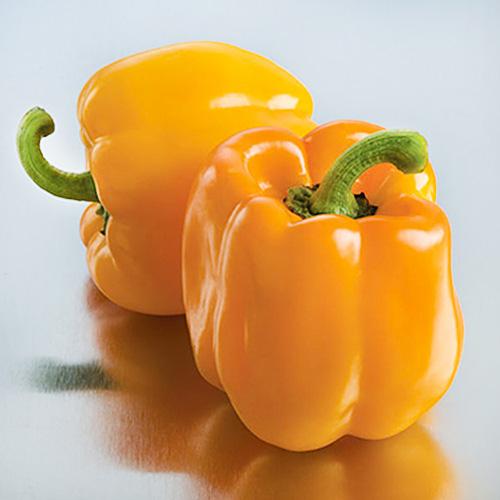 Семена Перець Florium Гурман (7818)