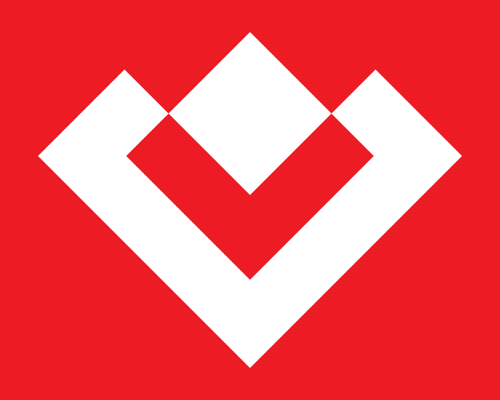 VIDITEK Engineering Group