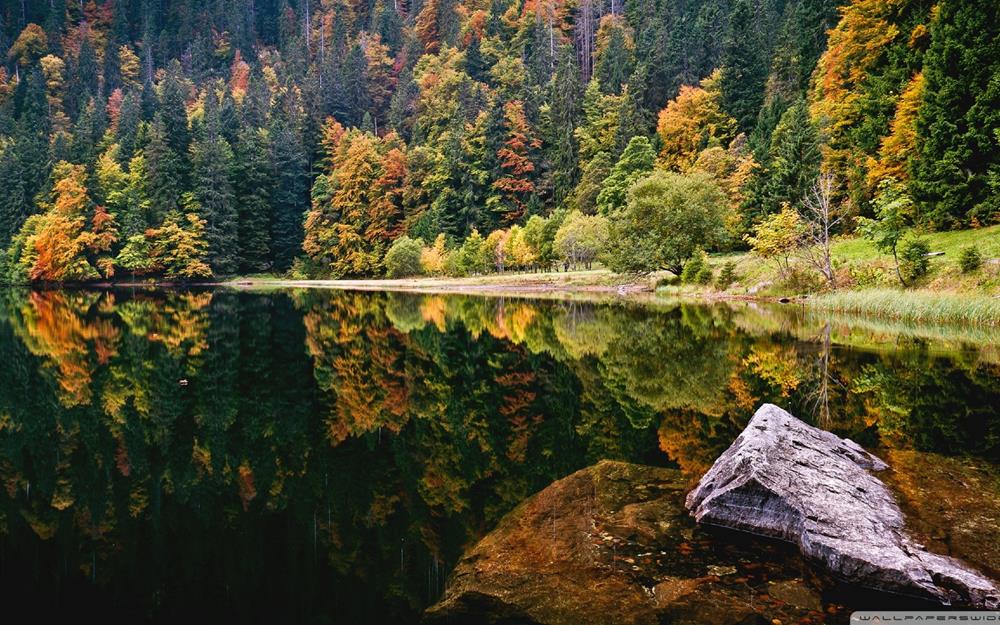 Картина Природа PR091 55х85 см