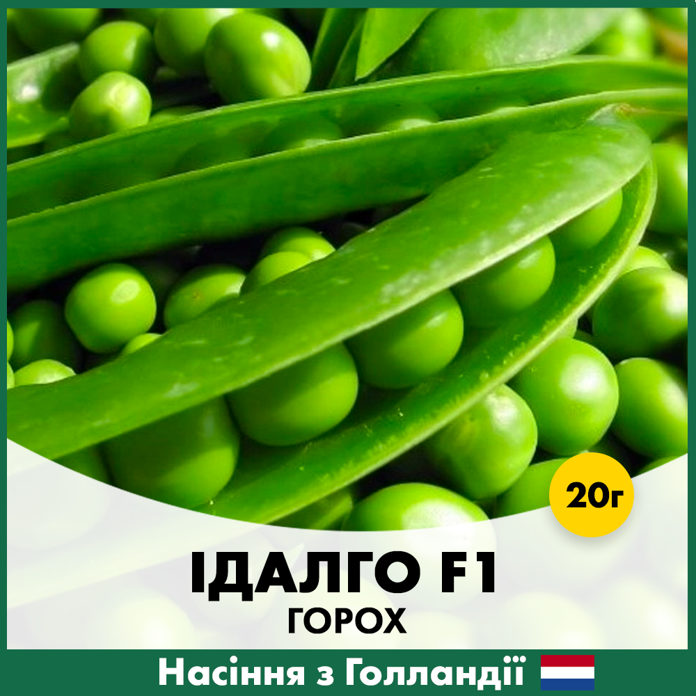 Семена гороха Syngenta Идалго F1 20 г (00282)