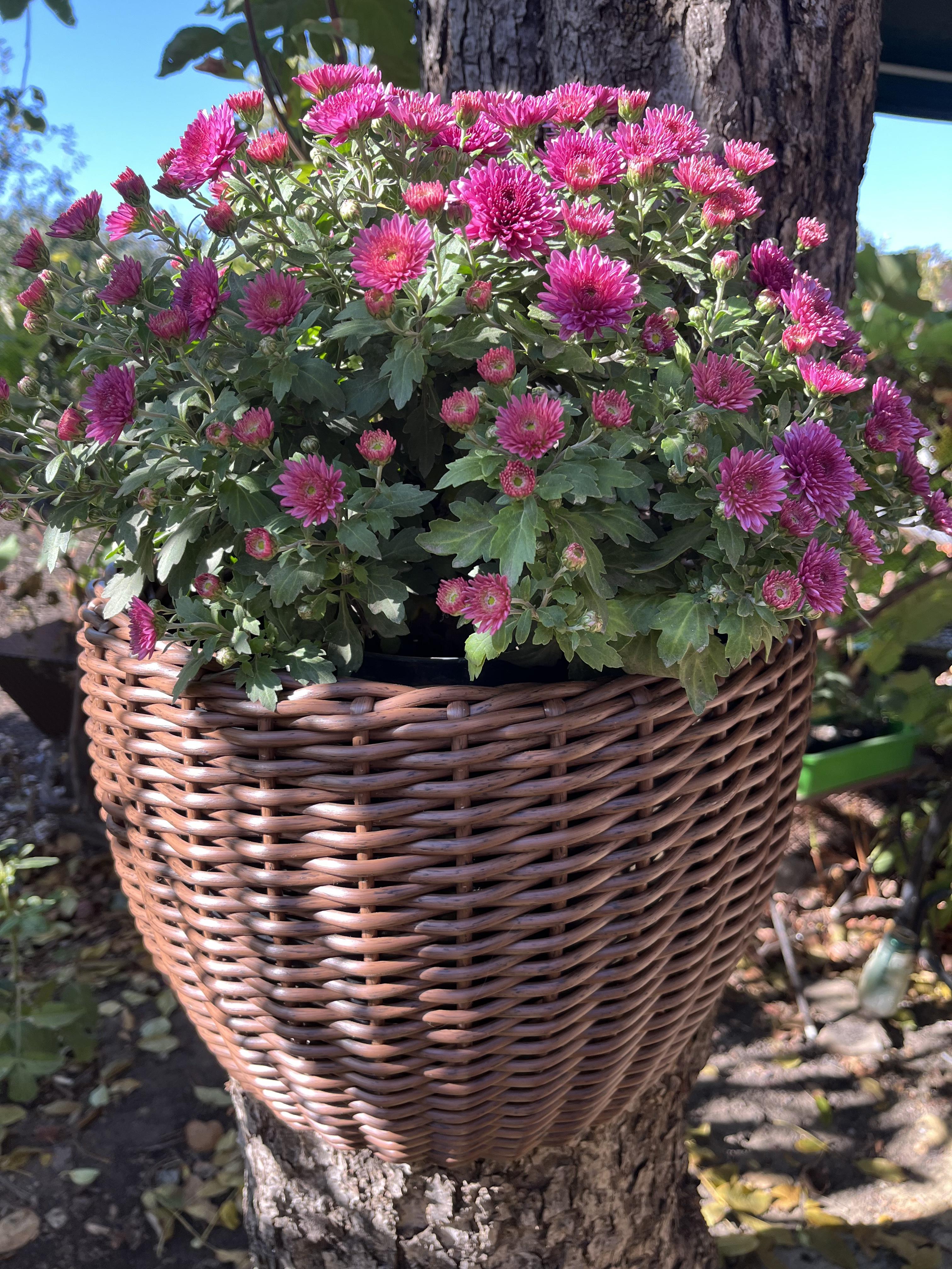 Кашпо для квітів зі штучного ротанга 20 л Темне дерево (27927829)