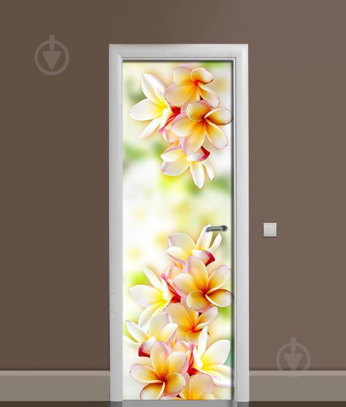 Наклейка на дверь Zatarga "Гавайские Леи" 650х2000 мм виниловая 3Д наклейка декор самоклеящаяся Z181700dv Наклейка на дверь Zatarga "Гавайские Леи" 650х2000 мм виниловая 3Д наклейка декор самоклеящаяся Z181700dv