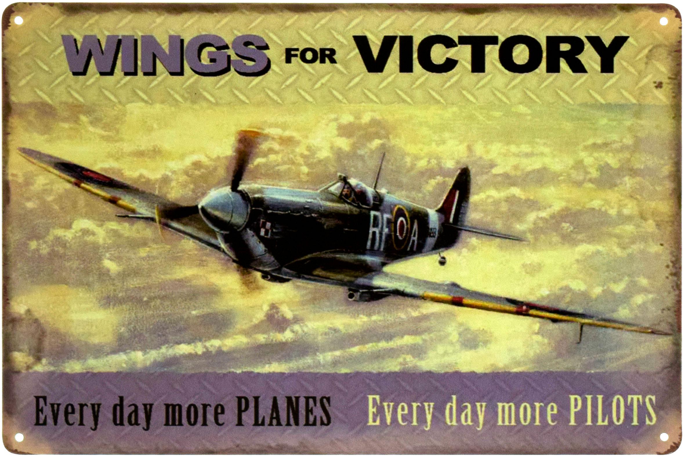 Табличка металева Крила Для Перемоги/Wings For Victory 20x30 см