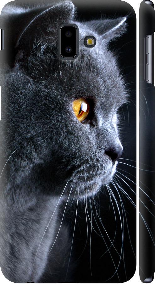 Чехол на Samsung Galaxy J6 Plus 2018 Красивый кот (3038m-1586-42517)