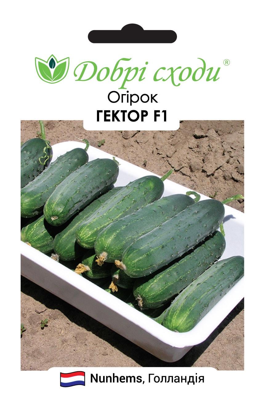 Семена огурец Гектор F1 Добрі Сходи 100 шт. (01010034)