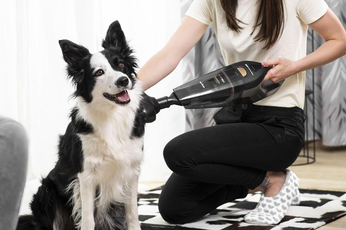 Пылесос ручной аккумуляторный для влажной и сухой уборки Concept VP4353 18,5V - фото 9 Пылесос ручной аккумуляторный для влажной и сухой уборки Concept VP4353 18,5V - фото 9