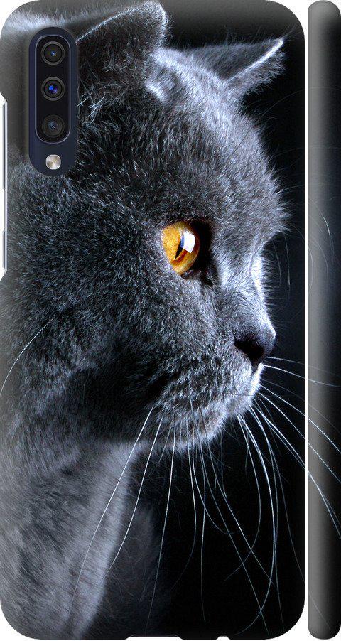Чехол на Samsung Galaxy A50 2019 A505F Красивый кот (3038m-1668-42517)
